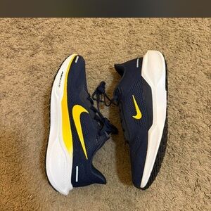 Nike Blue and Yellow Running Shoes